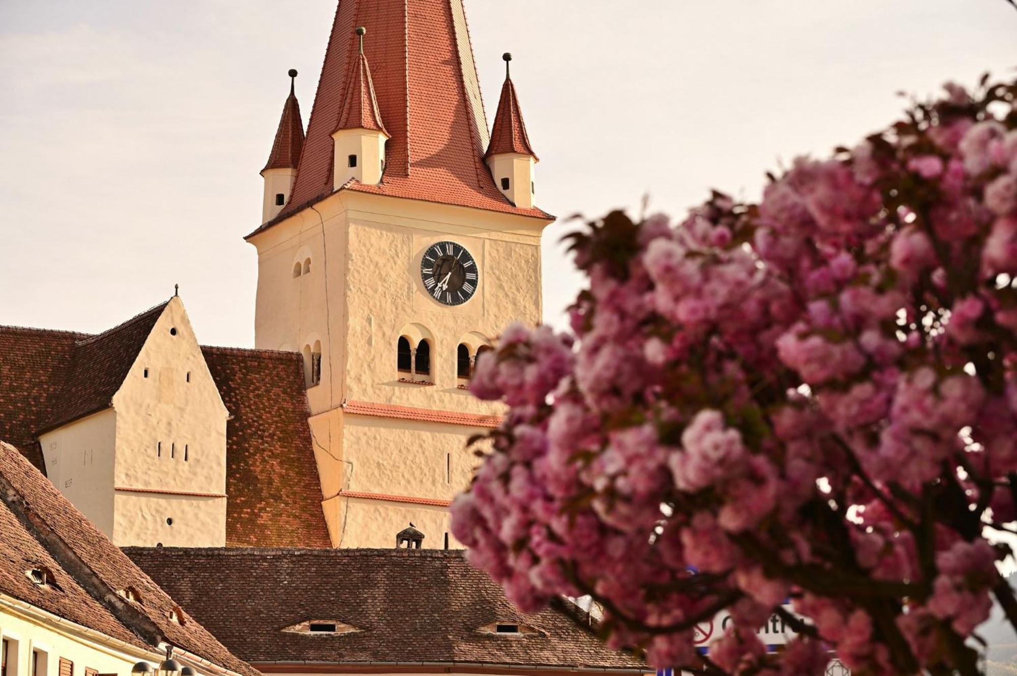 Frühstückspension Casa Ana Maria Cisnădie