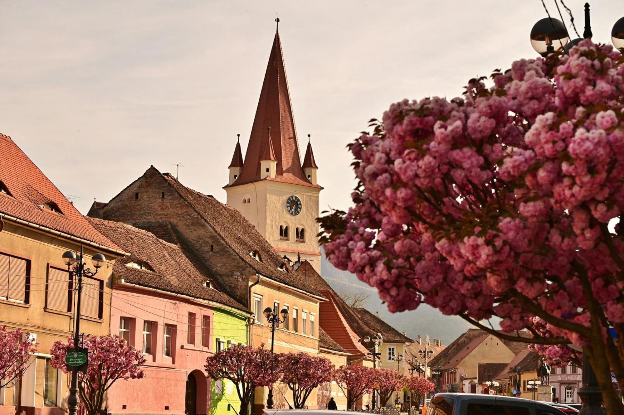 Frühstückspension Casa Ana Maria